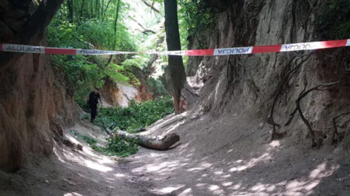 Gałąź spadła na wycieczkę w Wąwozie Korzeniowym 