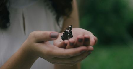 Co dwa lata odbiera dzieciom zmysły. Chorobę mogą wywoływać ćmy