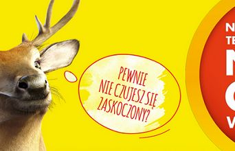 Będą kolejne zwierzęce reklamy Biedronki. „Chcemy się wyróżnić”