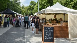 Kulinarne szaleństwo na bulwarze Dunikowskiego we Wrocławiu. Ruszyło Gastro Miasto. Oprócz jedzenia będzie wiele innych atrakcji