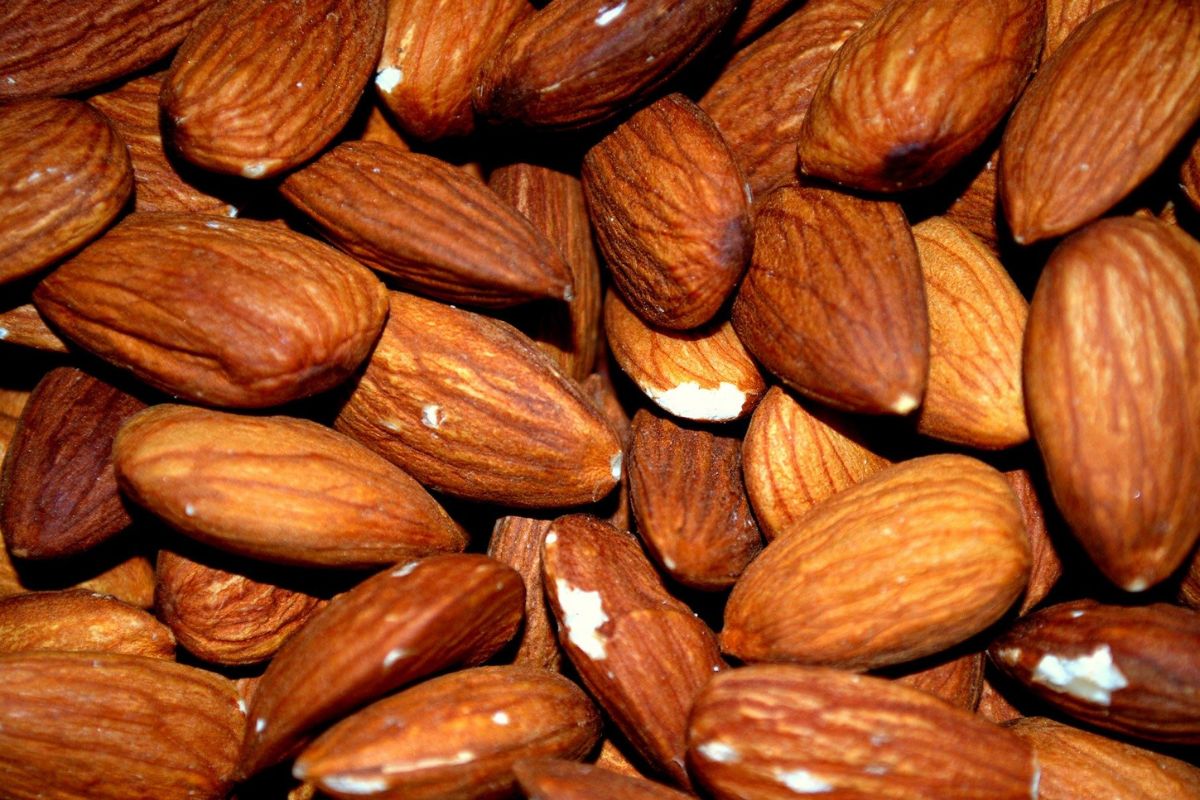 Why is it worth eating almonds?