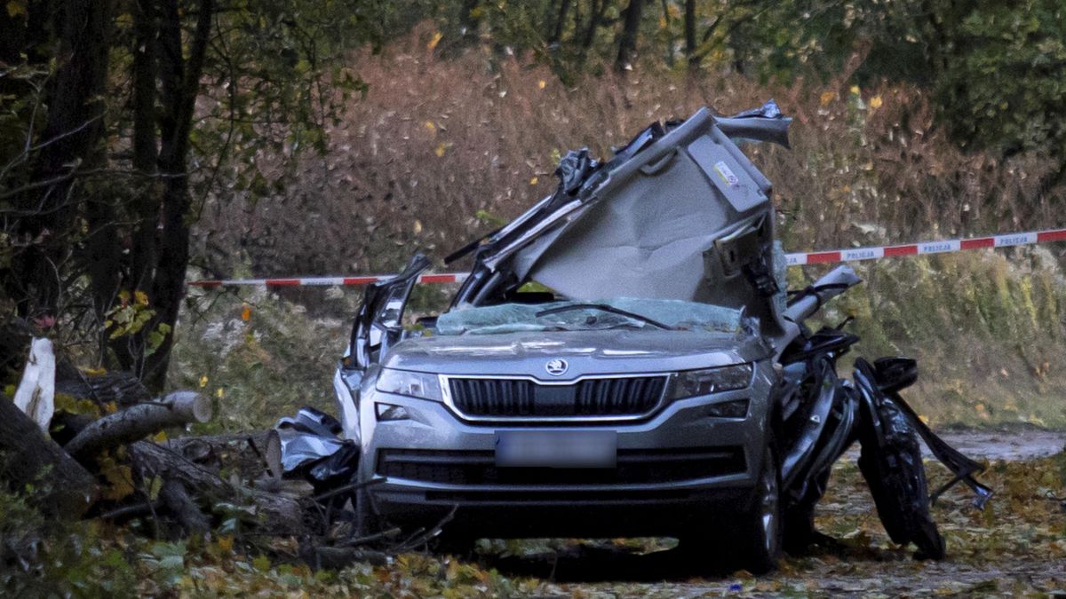 Na samochód z powodu silnego wiatru spadło drzewo 