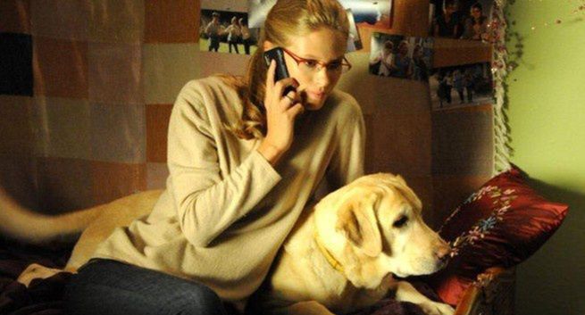 „Blondynka 2" była liderem rynku. W planach kolejna seria