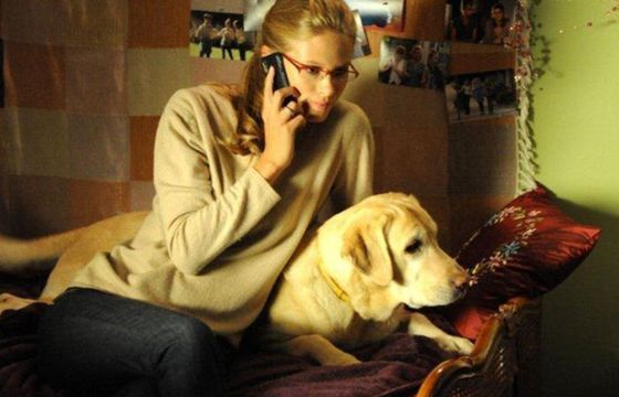 „Blondynka 2" była liderem rynku. W planach kolejna seria