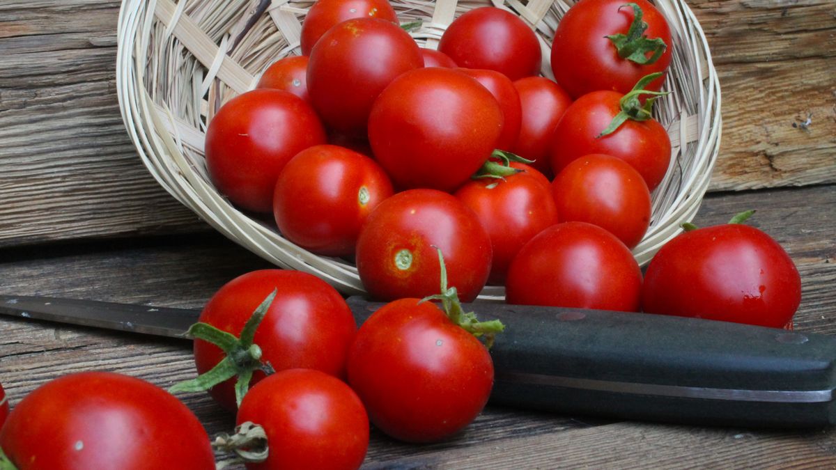 Pomidory w wiklinowym koszyku