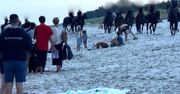 Groza nad Bałtykiem. Konie pędziły przez plażę. Ludzie byli przerażeni
