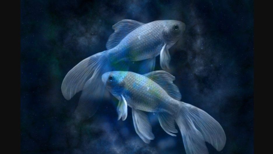 Ryby (19 lutego – 20 marca)Ryby mogą spodziewać się szczęścia w sprawach duchowych, artystycznych i intuicyjnych. Neptun, planeta ich znaku, będzie działać wyjątkowo silnie, wzmacniając wewnętrzne przeczucia i kreatywność.To czas na rozwój osobisty, pracę z emocjami i spełnianie marzeń. Ryby mogą dostać szansę, której się nie spodziewały, szczególnie jeśli chodzi o karierę lub twórczy projekt. W relacjach warto stawiać na szczerość i głęboką rozmowę.Szczęśliwe dni: 6, 17, 28 czerwca