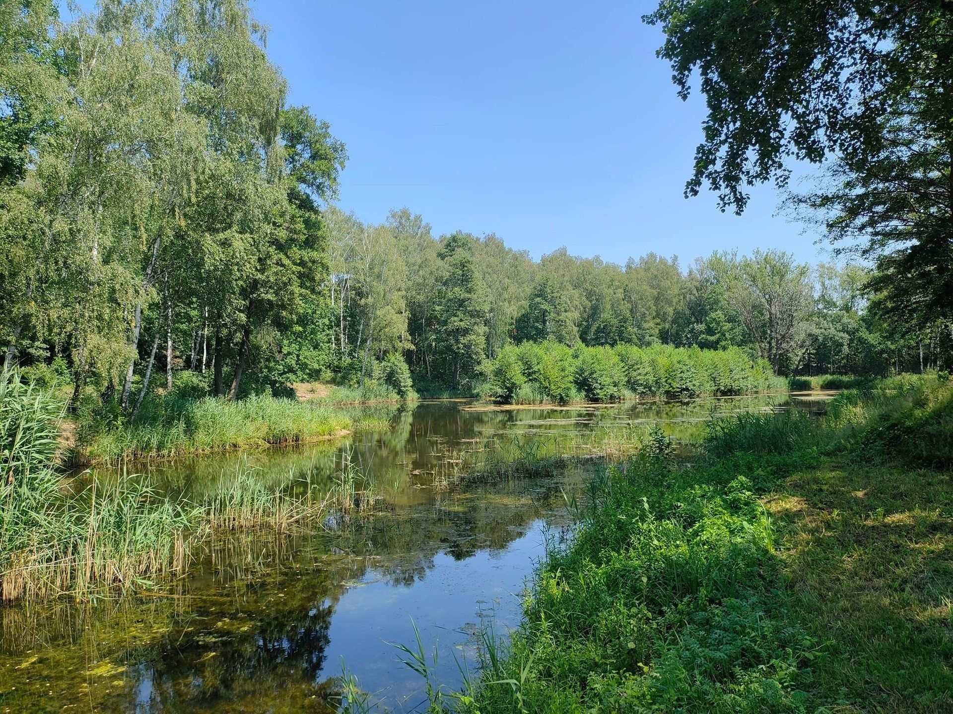 Tajemnicza plaża w lesie pod Gliwicami? Zobaczcie