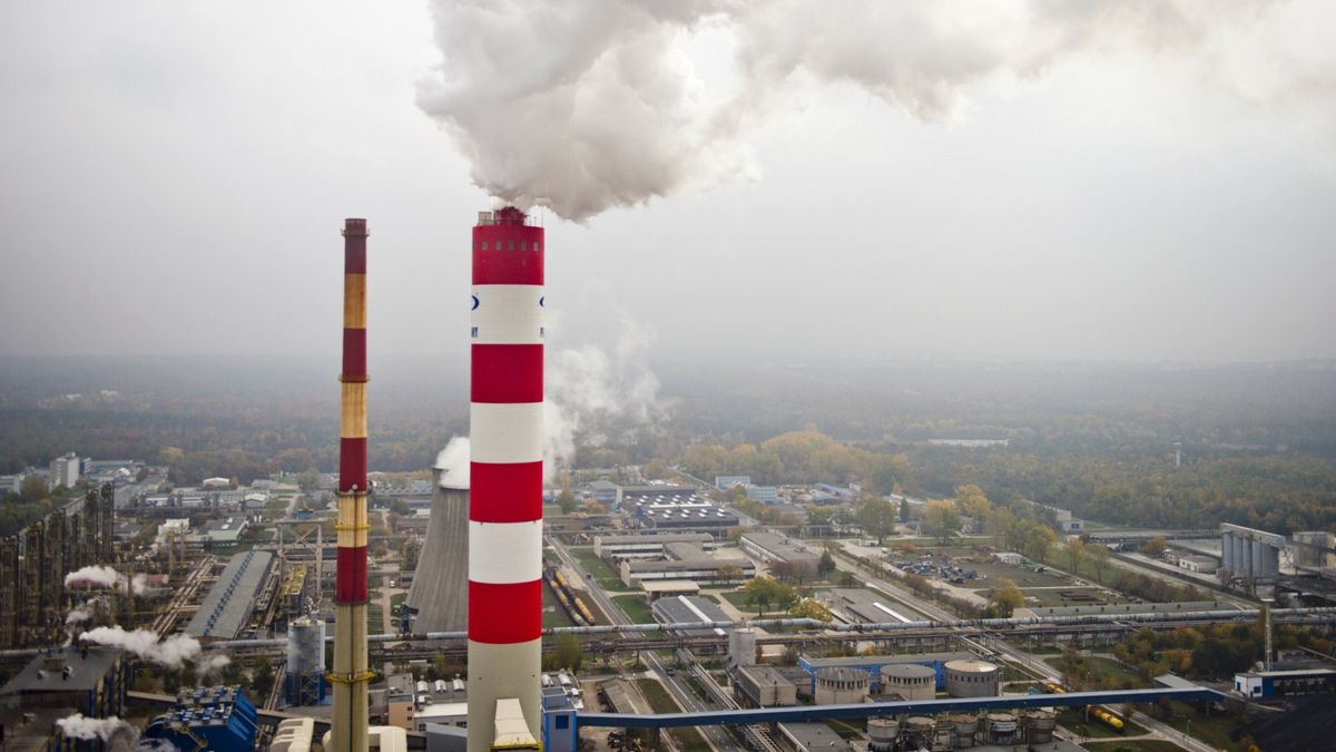 Na zdjęciu Zakłady Azotowe Pulawy SA