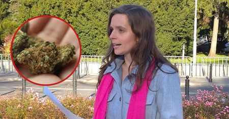 Rodzina zatruta marihuaną na Wigilii. Posłanka Jachira komentuje incydent