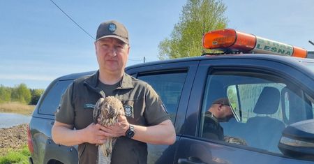 Przerażające, co zrobili nastolatkowie. "Młodzież urządziła sobie z ptaka żywą tarczę"