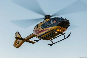 Wypadek w Piekarach Śląskich. Mężczyzna spadł z drzewa podczas przycinania gałęzi