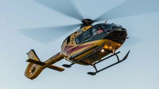Wypadek w Piekarach Śląskich. Mężczyzna spadł z drzewa podczas przycinania gałęzi