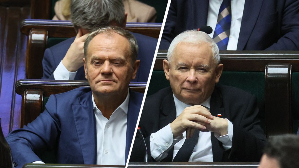 KO i PiS na czele notowań