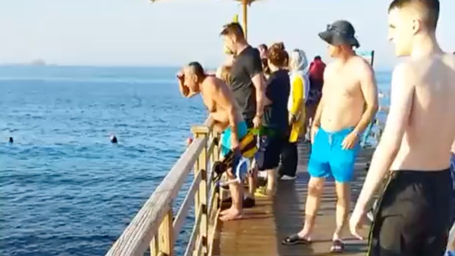 Turystki zaatakowane przez rekina. Hotel ma zapłacić za ich śmierć w Egipcie