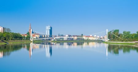 Zaatakowali z powietrza. Plaga owadów nie do wytrzymania