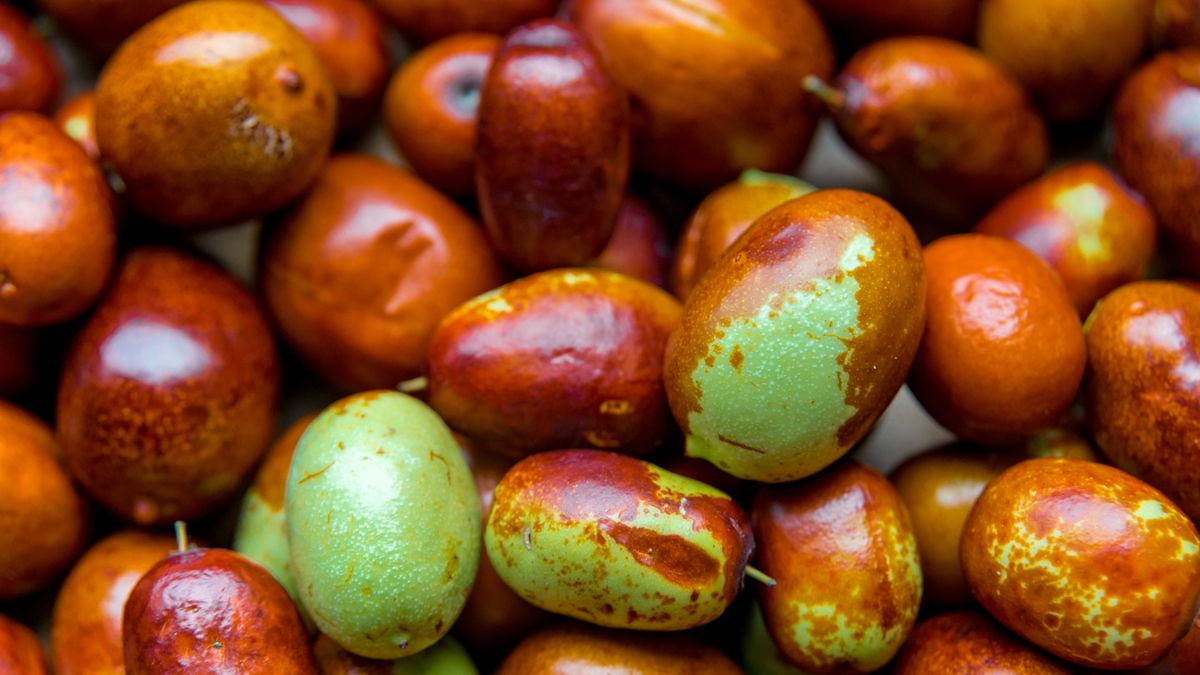 Olejek jojoba pozyskuje się z nasion jojoby