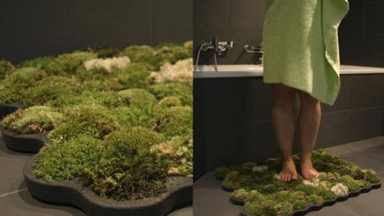 Dywan z mchu w każdym pokoju 1