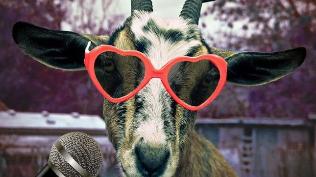 Symulator kozy. W to jeszcze nie graliście! 1