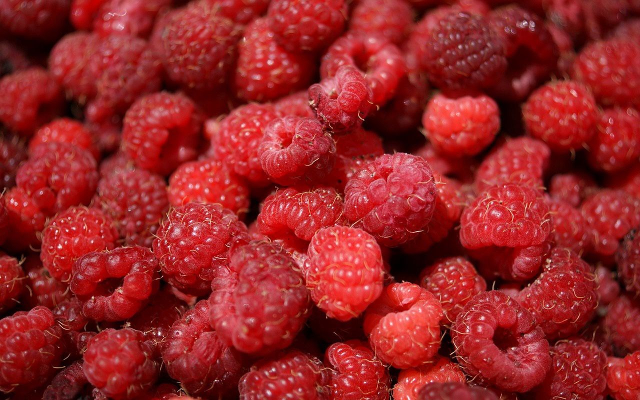 See why it's worth eating raspberries