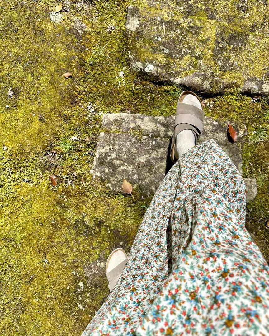 Instagram/lilycollins