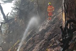 Katastrofa lotnicza w Austrii. Są ofiary śmiertelne