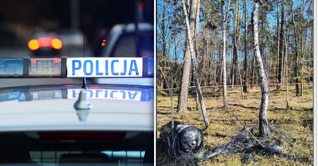 Leśniczy odkrył resztki po rakiecie Falcon 9? Kolejne takie znalezisko