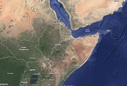 Róg Afryki na krawędzi, będzie kolejna wojna? Etiopia i Erytrea bliskie konfliktu