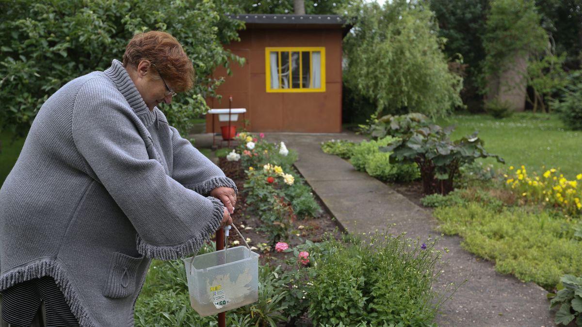 Dzia�ki przy Waszyngtona
Rafa� Guz
dzia�ka, dzia�ki, dzia�kowcy, dzia�kowe, konferencja, ogrody, ogr�dki, polski zwi�zek dzia�kowc�w, PZD, rod, rodzinne, rodzinne ogrody, s�d najwy�szy, ustawa