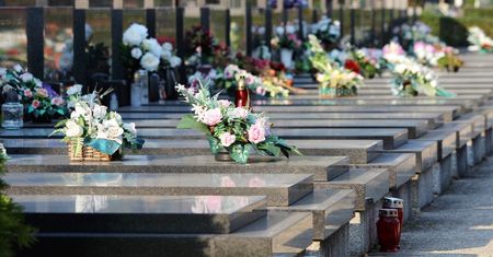 Stroiki na cmentarz 2022. Jakie kwiaty na groby bliskich na Wszystkich Świętych?