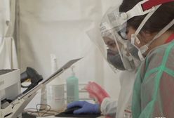 Koronawirus. Holandia. Pierwsze szczepienia dopiero w 2021 roku