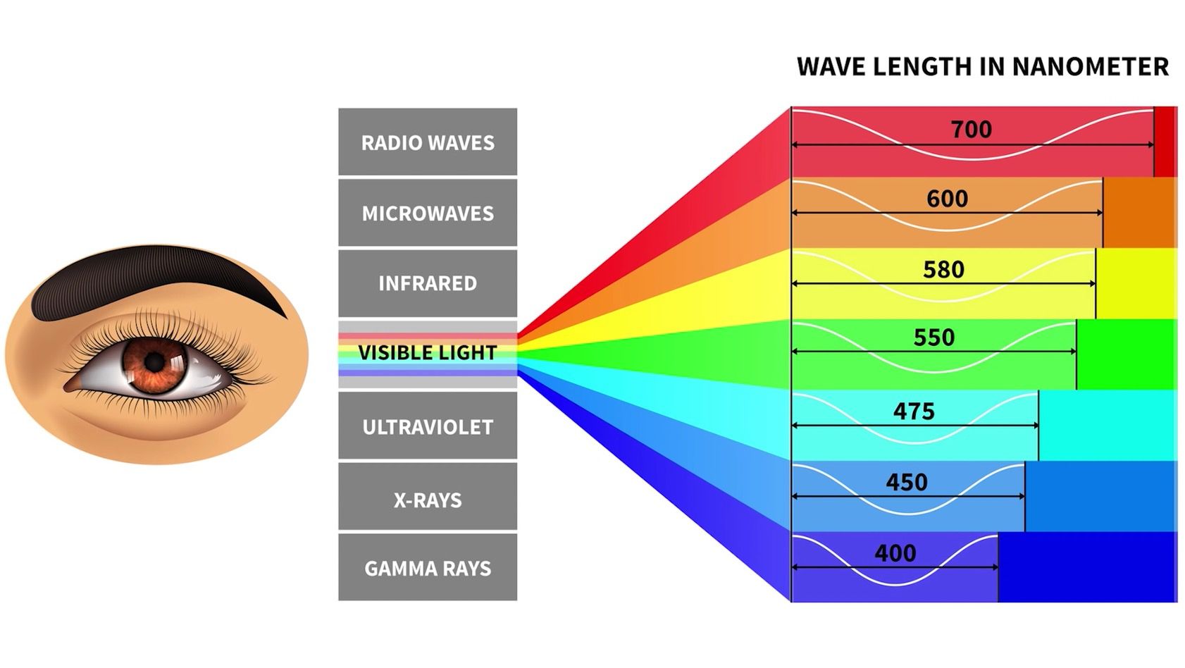 OnePlus 8 Pro niczym rentgen. Pozwoli prześwietlić niektóre obiekty 3