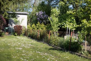 Nielegalne na działce. Kogo przyłapią, ten może stracić ogródek