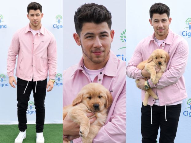 Różowy Nick Jonas ze szczeniaczkiem w objęciach walczy o zdrowie Amerykanów i zasobność własnego portfela