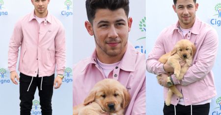 Różowy Nick Jonas ze szczeniaczkiem w objęciach walczy o zdrowie Amerykanów i zasobność własnego portfela