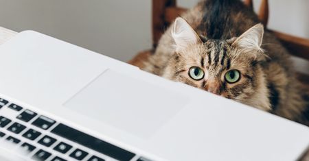 Koronawirus krzyżuje plany. Google, Microsoft, Cisco i inni pomagają w nauce i pracy zdalnej