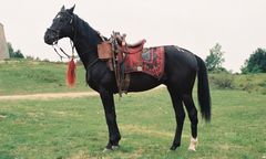 Wrocław. Nie żyje Damar. Zagrał w filmie "Ogniem i mieczem"