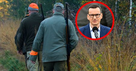 Zakaz polowania nad Odrą? Zbliża się niebezpieczny moment. Ekolodzy alarmują