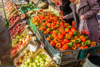 Wszyscy polują na fioletowe. Warzywne złoto za 40 zł za kg