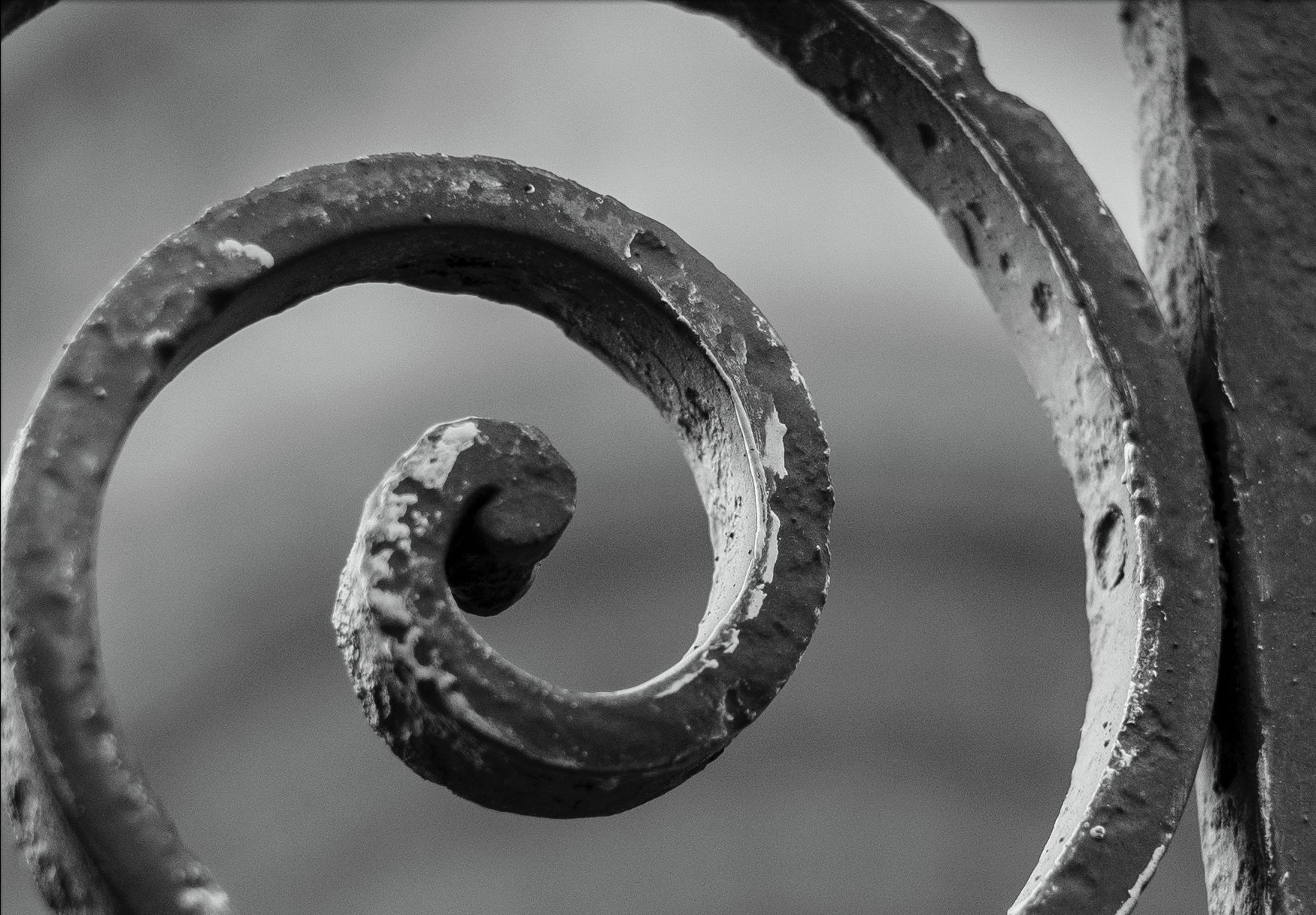 Leica 35 mm f/1.4 Summilux-M ASPH - w poszukiwaniu mitycznej jakości obrazu [recenzja] 19
