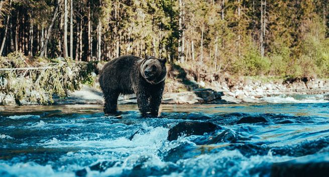 Gwiazdorska obsada w polskim serialu SkyShowtime „Śleboda”. Znamy datę premiery