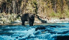 Gwiazdorska obsada w polskim serialu SkyShowtime „Śleboda”. Znamy datę premiery