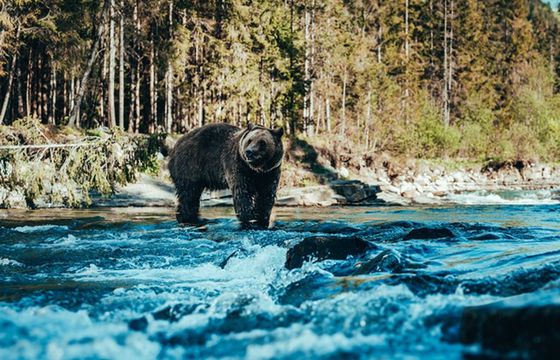 Gwiazdorska obsada w polskim serialu SkyShowtime „Śleboda”. Znamy datę premiery