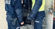 Poznań: Zimowe mrozy zagrażają życiu. Policja apeluje o czujność