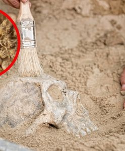 Tajemnicza czaszka sprzed 6200 lat odkryta w Iranie. Przyciągnęła uwagę badaczy z całego świata