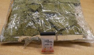 Przesyłki pocztowe z marihuaną nie trafią do odbiorców