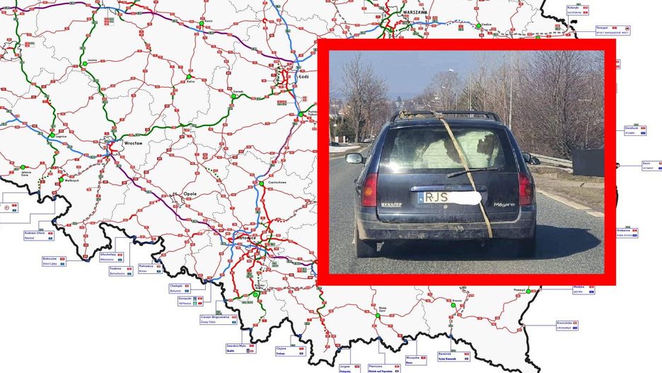 Kierowca przewoził w bagażniku krowę