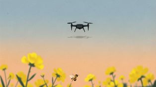 Pszczoły dają robotom lekcję nawigacji. Nowy algorytm działa tam, gdzie GPS zawodzi