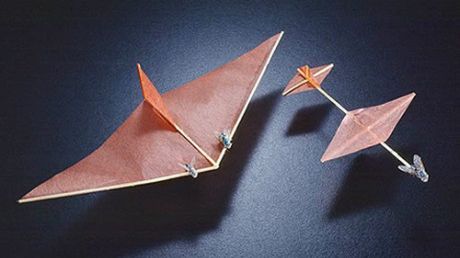 Samoloty napędzane muchami (wideo) 1