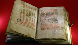 Zrabowany podczas wojny. Wrócił do Polski. Zbadali go naukowcy